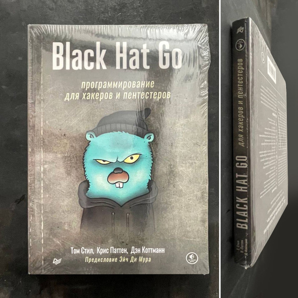 Black Hat Go: Программирование для хакеров и пентестеров | Паттен Крис ...