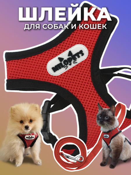 Шлейка для собак и кошек анатомическая MiloPets, с поводком 120 см ...