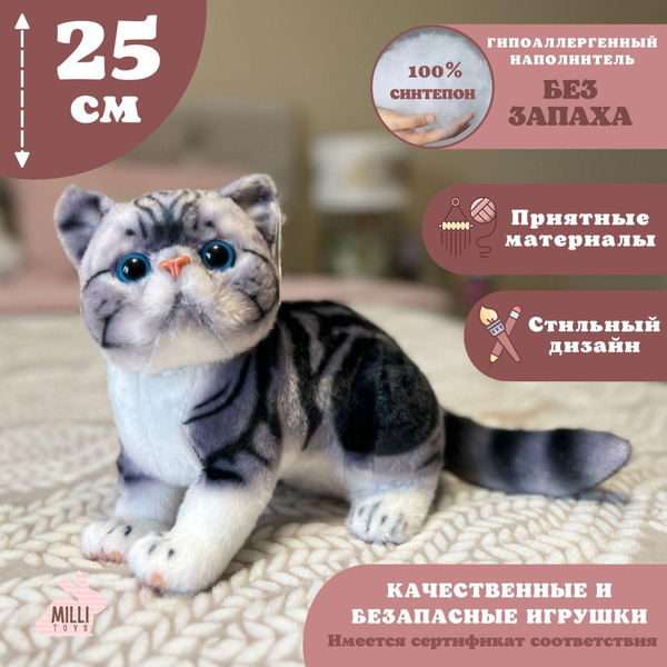 Мягкая игрушка кот котенок плюшевый котик британец купить на OZON по ...