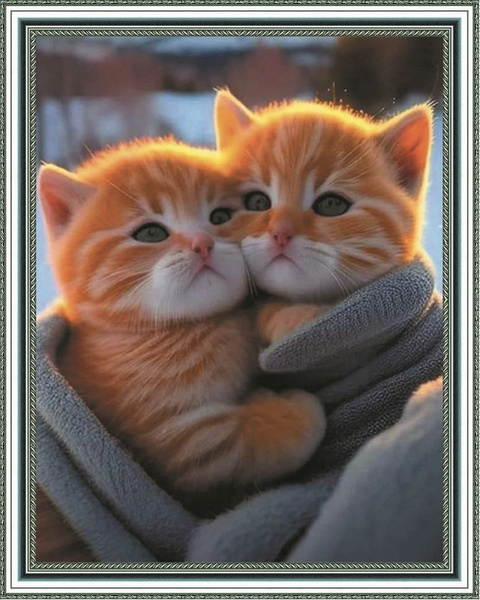 Алмазная мозаика Кошки на подрамнике 40*50 Котики Животные - купить с ...