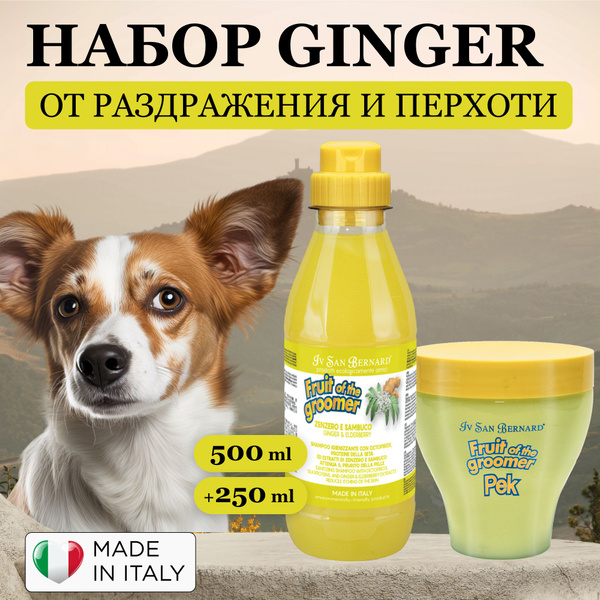 Выгодный набор шампунь для собак и маска Имбирь-Бузина эффективно ...