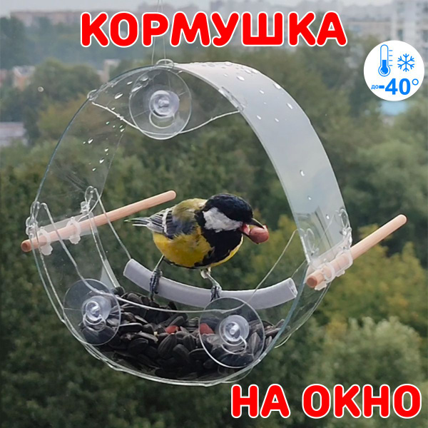 Кормушка на окно прозрачная с белой полочкой и жердочками - купить с ...