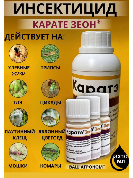 ��������� 100 ���� ���������: ����.