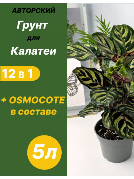 Грунт для Калатеи 5л готовый - купить по низкой цене в интернет ...