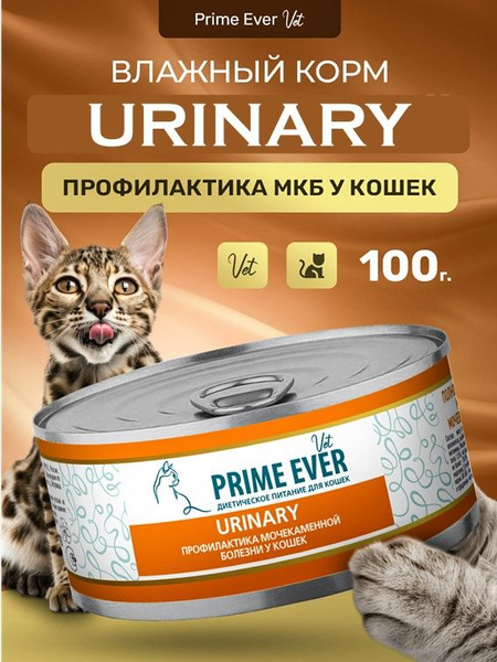 Влажный диетический корм для кошек для профилактики мочекаменной ...