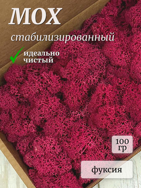 Мох стабилизированный ягель цветной 100 гр розовый/фуксия купить на ...