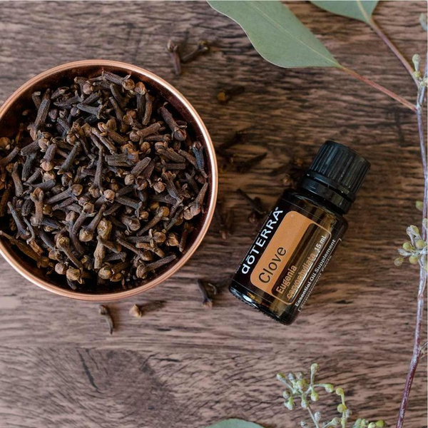 Эфирное ароматическое масло Гвоздики doTERRA 15 мл купить на OZON по ...