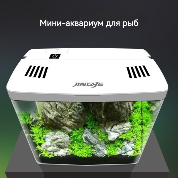Мини-акватеррариум 5.6 л,белый купить на OZON по низкой цене (1759561450)