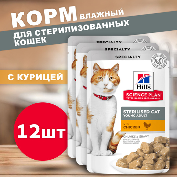 Влажный корм для кошки с курицей Hills 12шт по 85 гр купить на OZON по ...