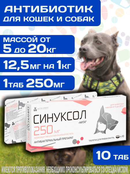 Таблетки антибактериальные (антибиотик) Синуксол-нита для собак и кошек ...