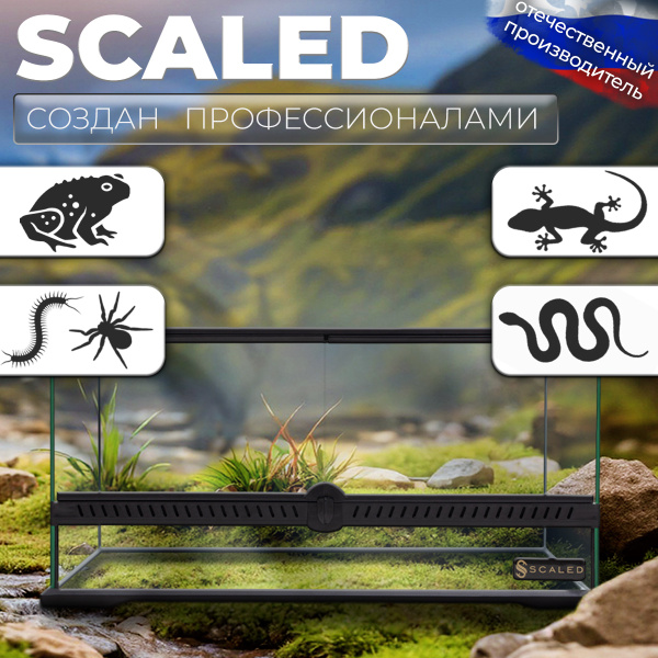Стеклянный террариум Scaled 60x45x30 см. с боковым доступом купить на ...