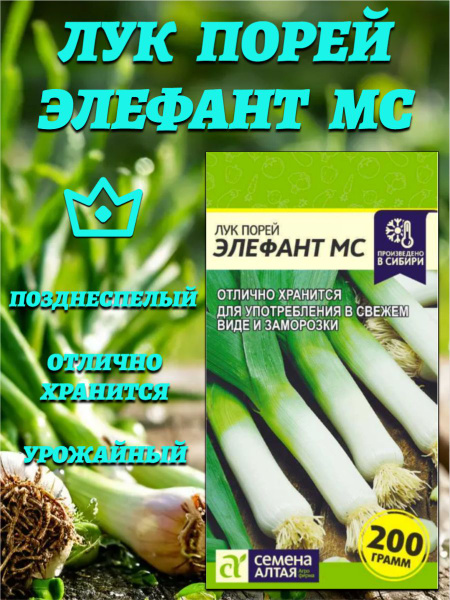 Лук Семена Алтая лук - купить по выгодным ценам в интернет-магазине ...