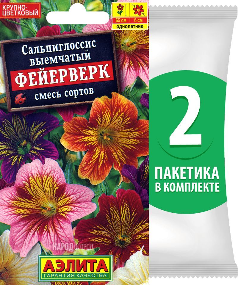 Сальпиглоссис Купить