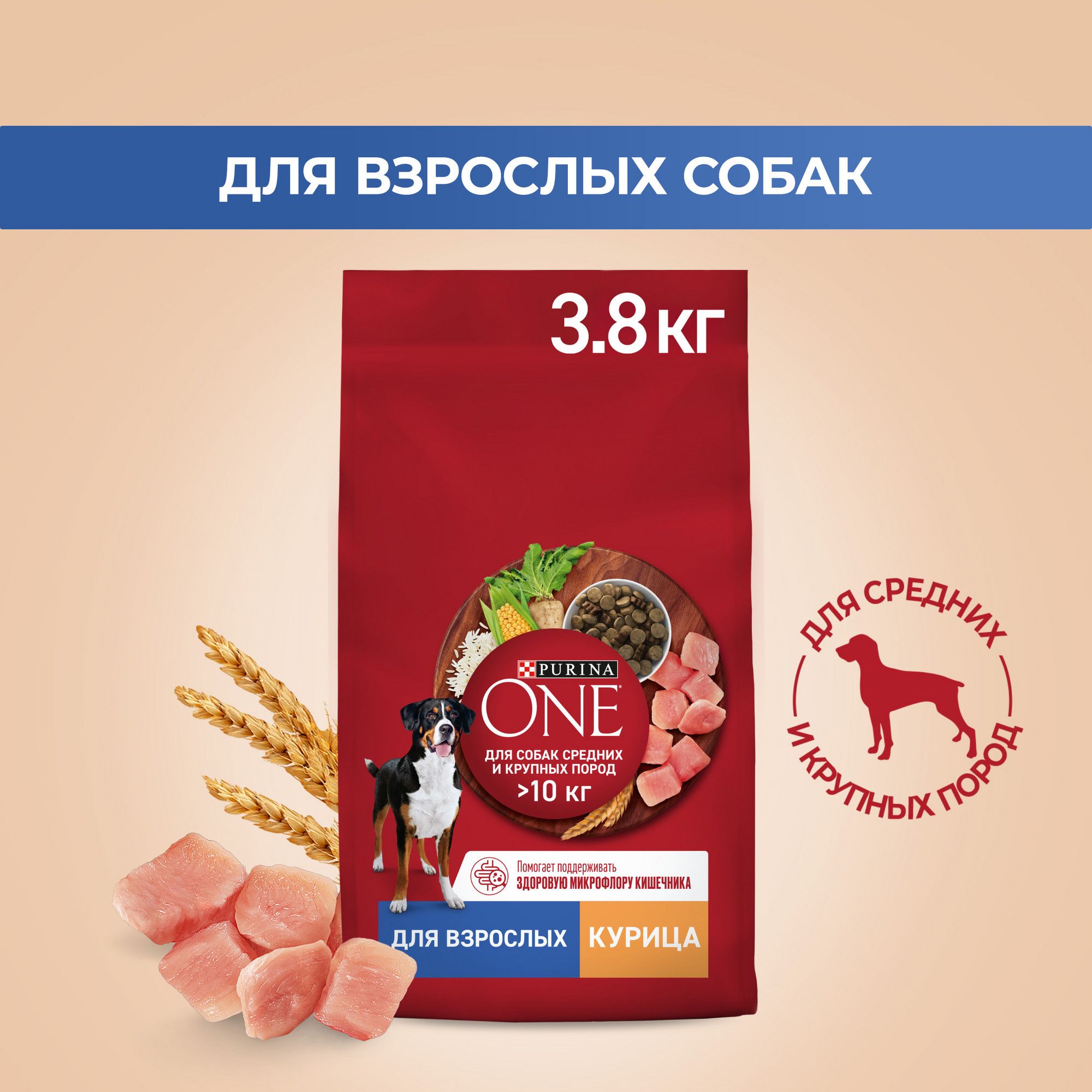 Сухой корм для собак Purina ONE для средних и крупных пород, с курицей и  рисом, 3,8 кг