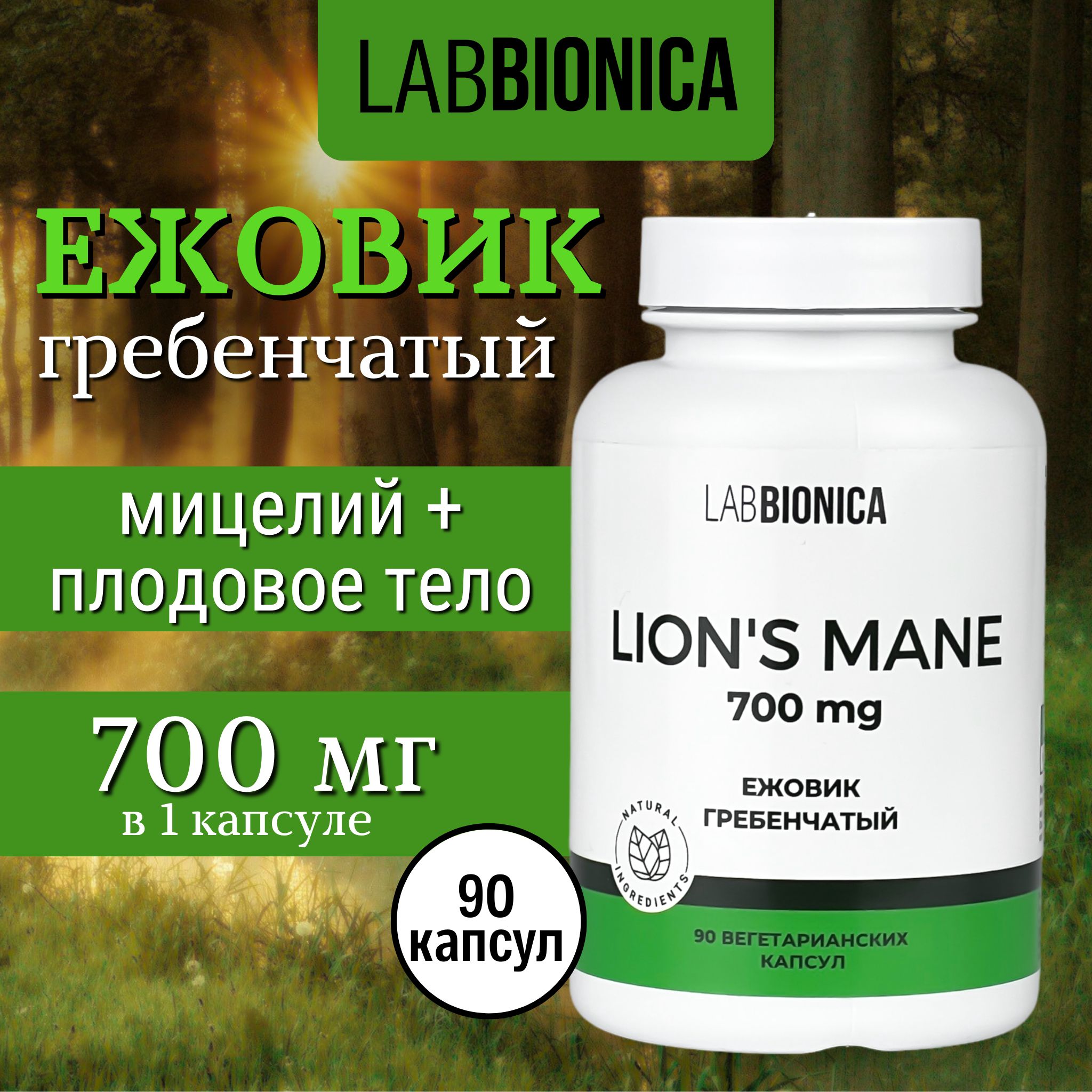 LABBIONICAЕжовикгребенчатыймицелий,lionsmane