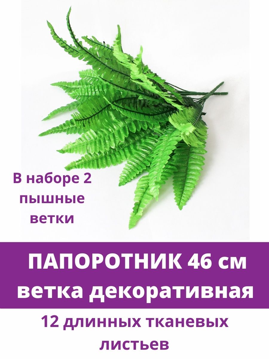 Купить Папоротник искусственный, ветка декоративная, 46 см, набор 2 шт. по  выгодной цене в интернет-магазине OZON.ru (488507659)