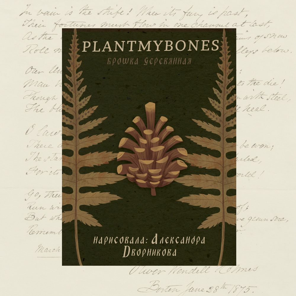 Деревянная брошь PlantMyBones, значок из дерева на замке-булавке: Шишка