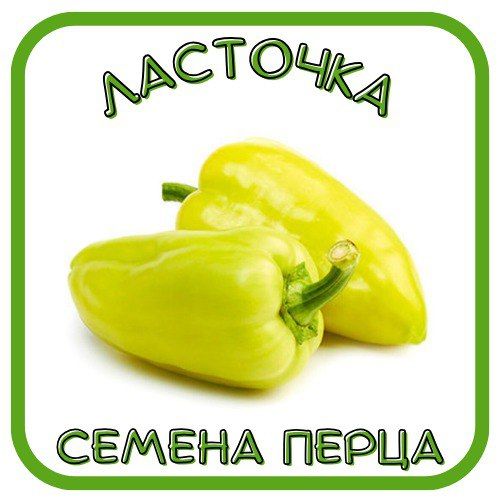 Перец Сорт Ласточка Фото