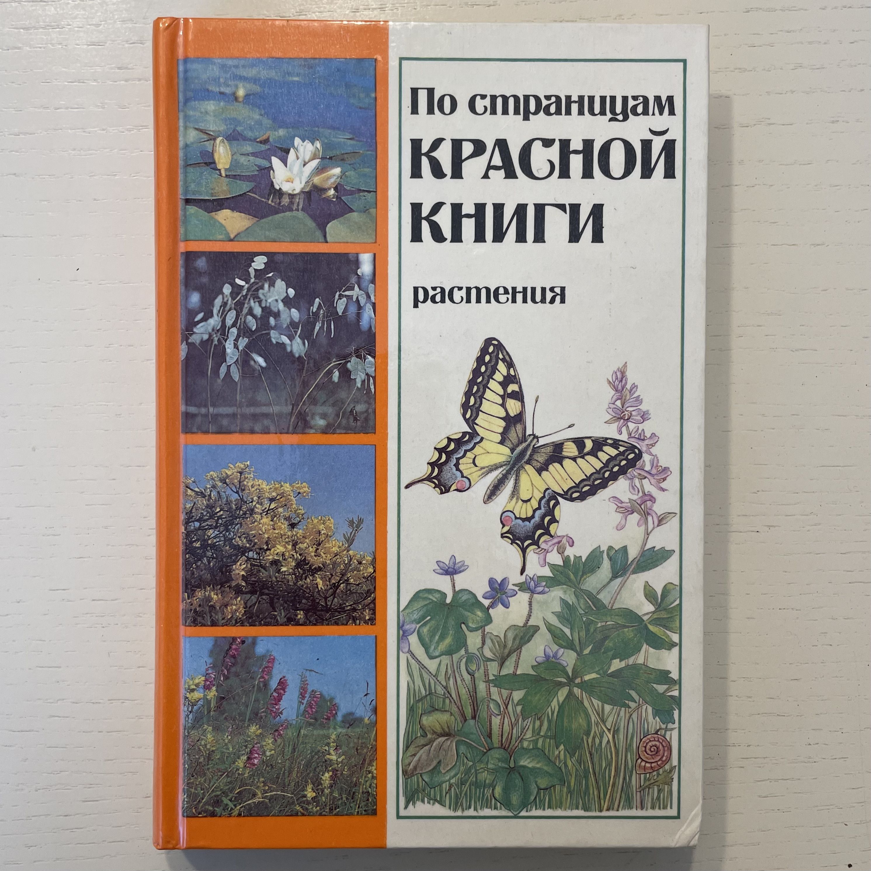 По страницам красной книги. Растения