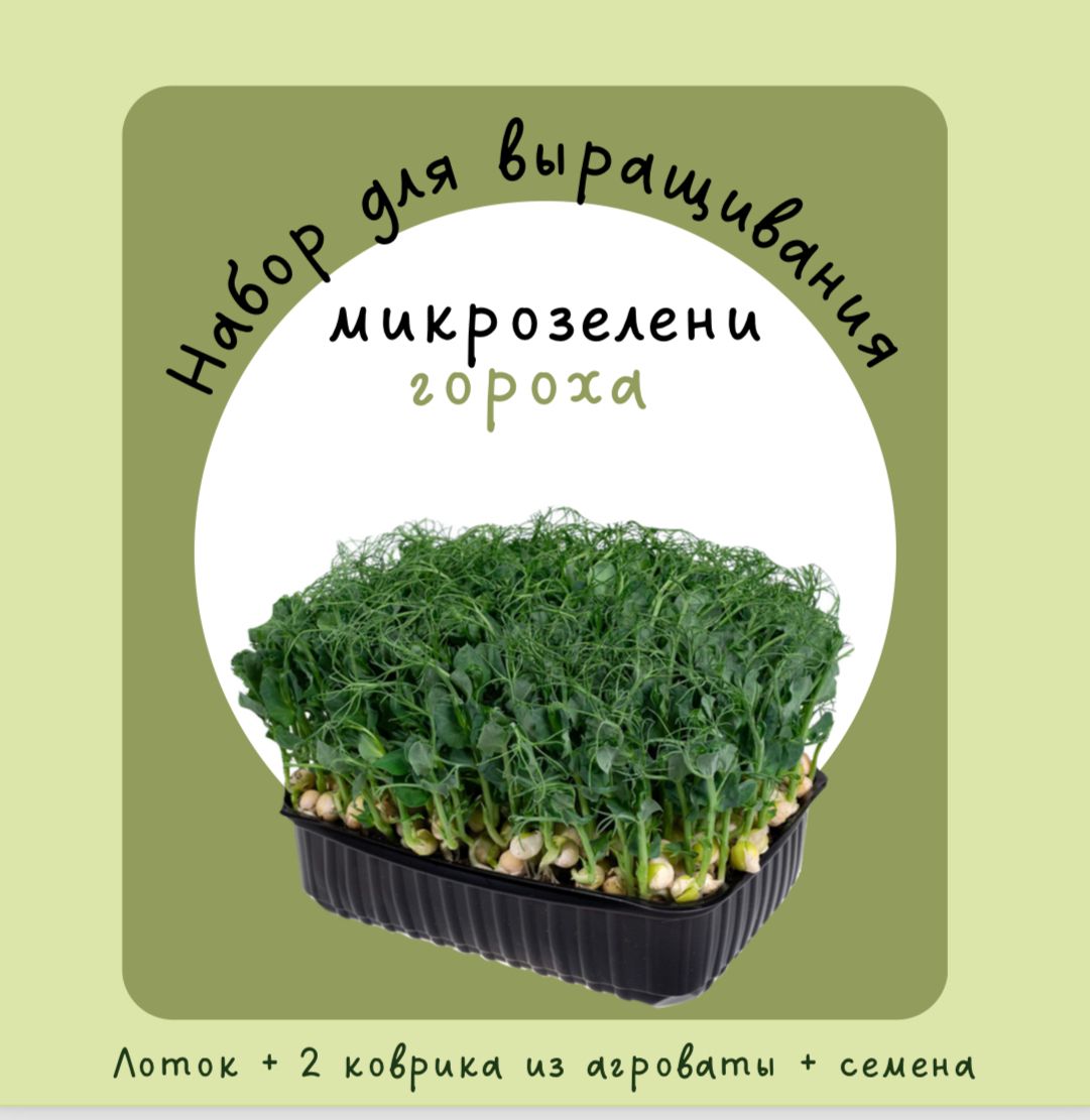 Агровата Для Микрозелени Купить В Спб Оптом