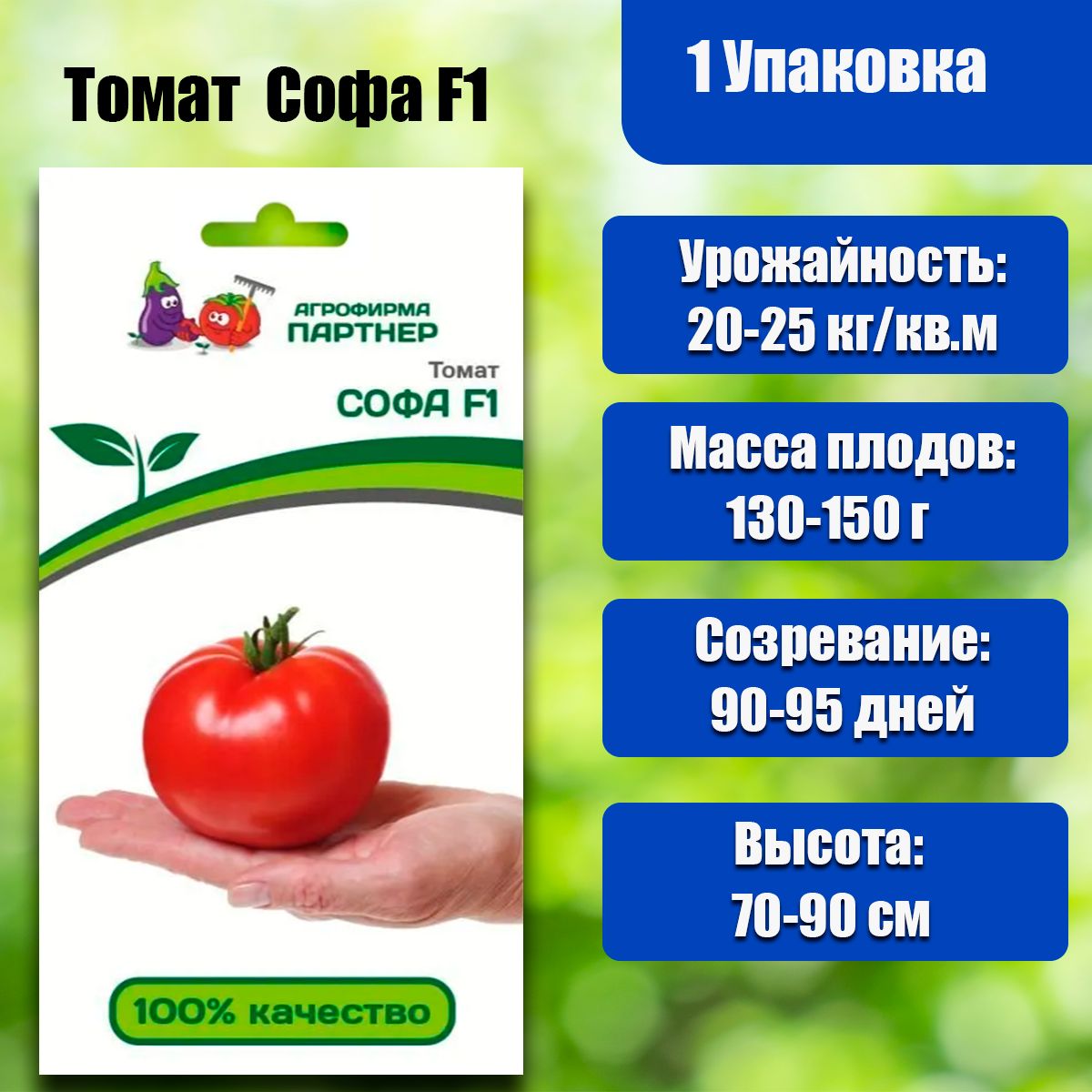 Томат софа как формировать. Томат софа как формировать