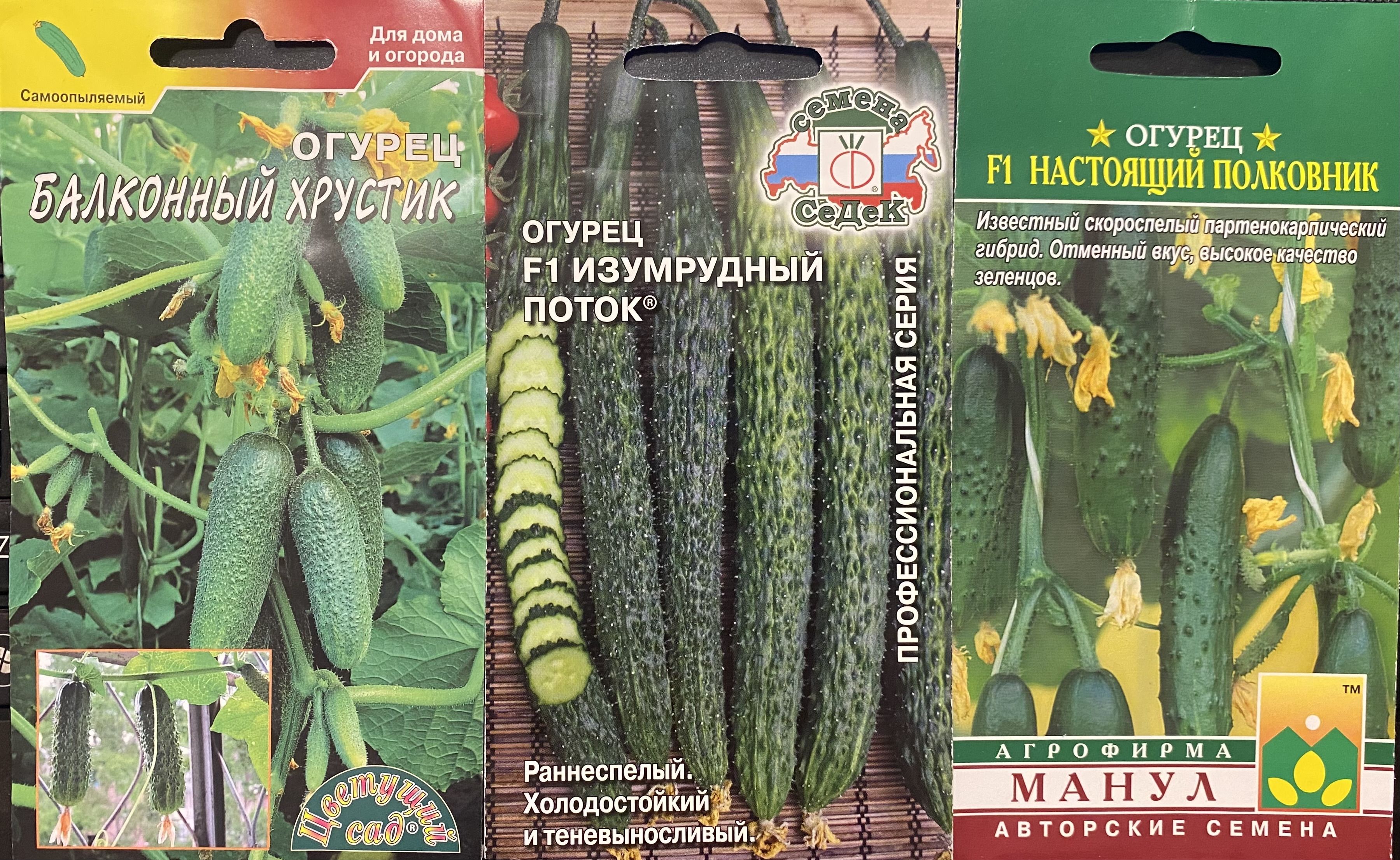 Семена Огурцы Уральский Дачник Купить