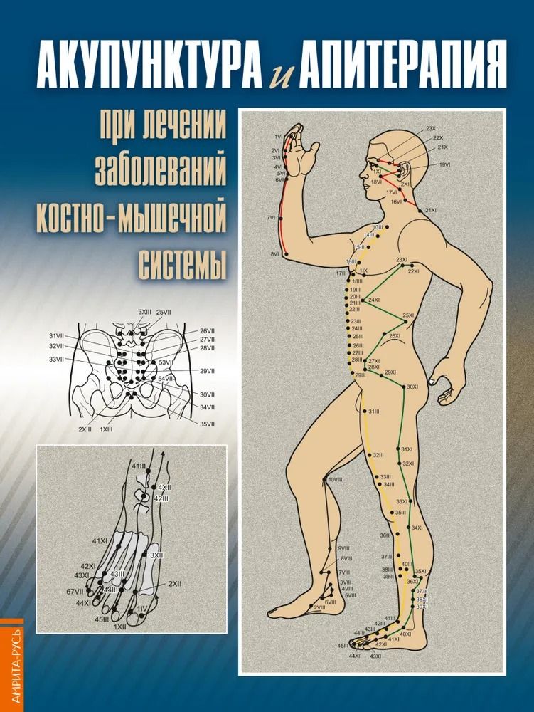 Акупунктура и апитерапия при лечении заболеваний костно-мышечной системы. | Каримова Г.