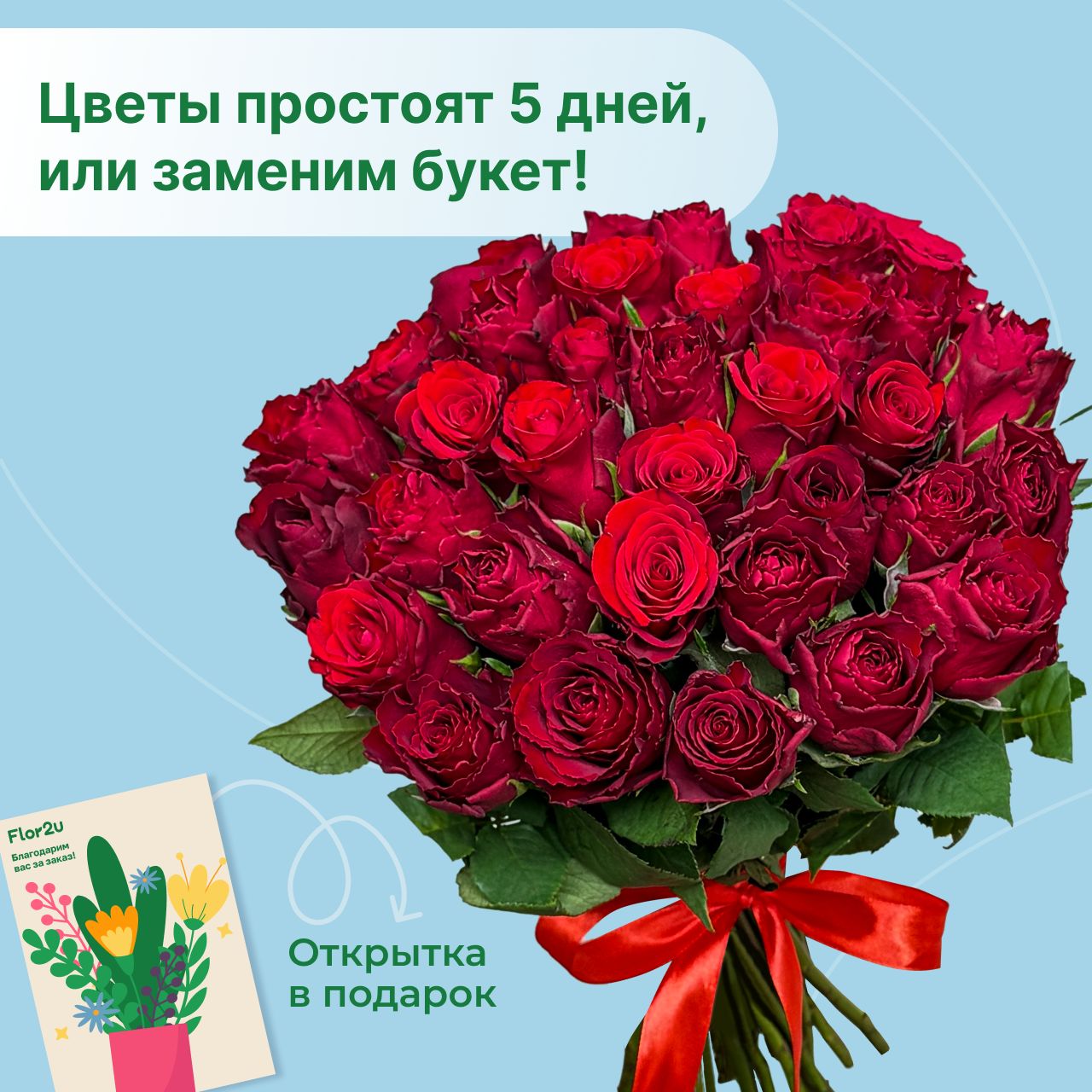 Цветы живые букет из 35 красных роз см с атласной лентой Flor2u