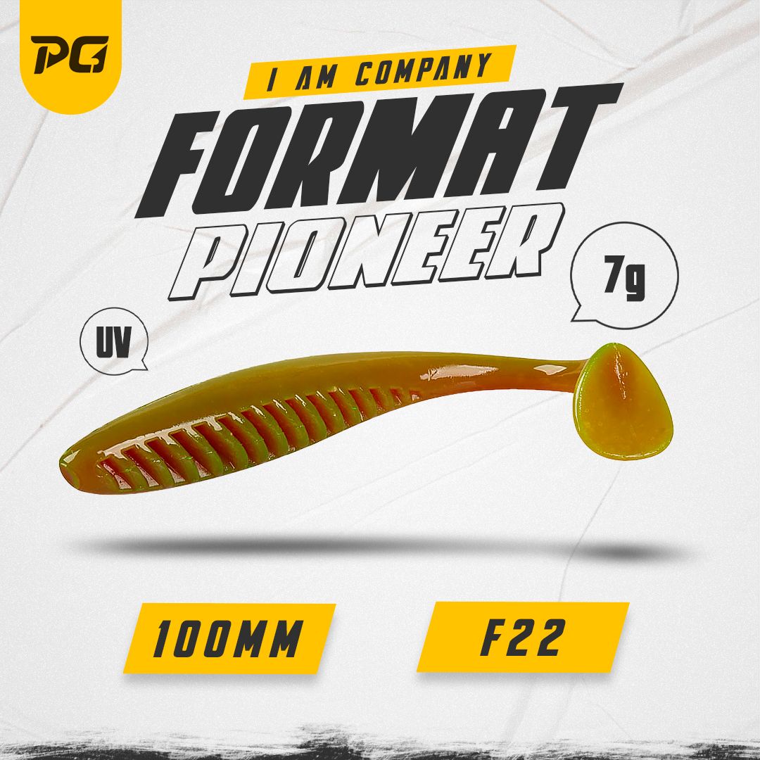 Силиконовая приманка FORMAT PIONEER 100mm (5шт.) цвет F22