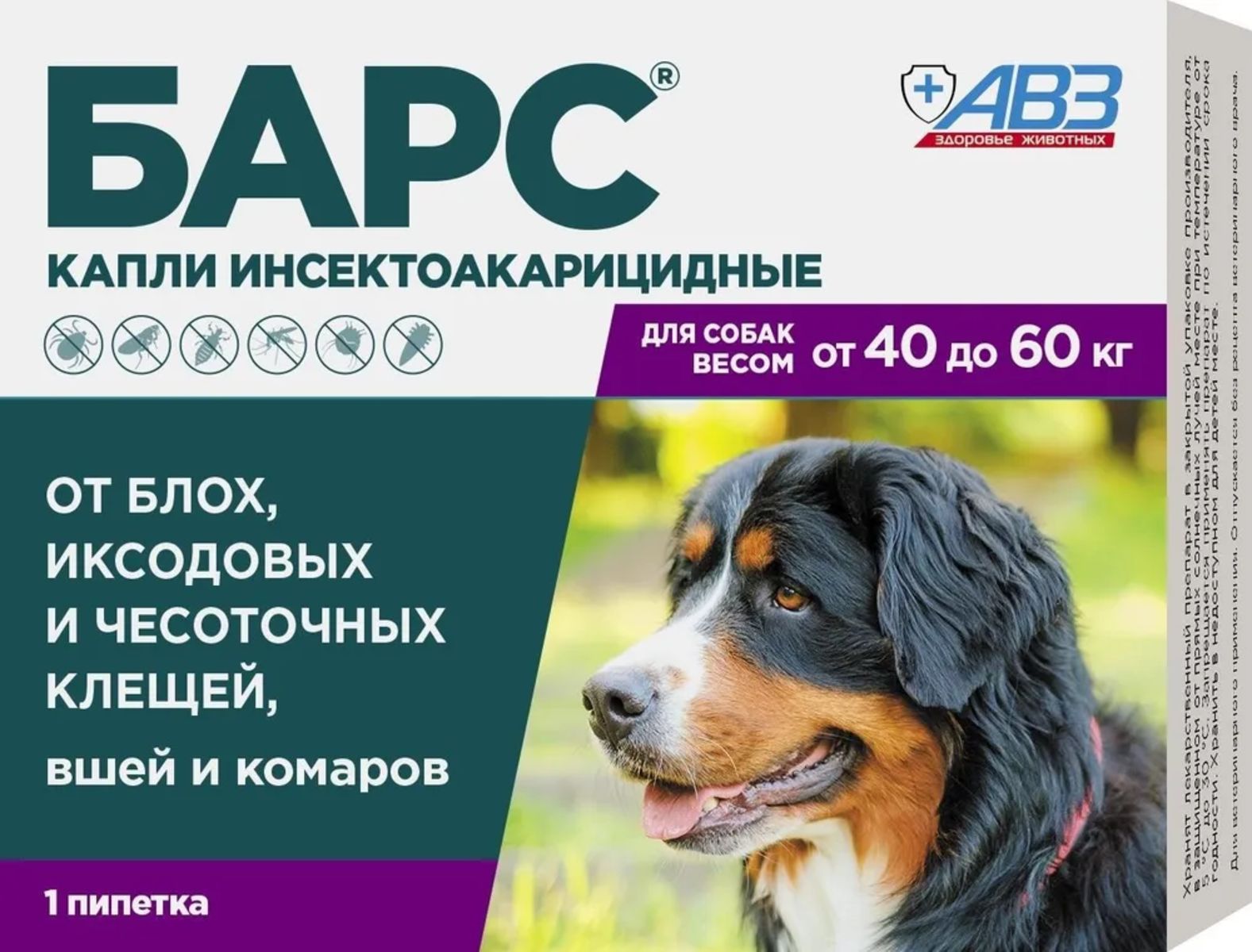 Классик барс