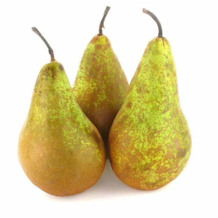 Саженец,Груша,,Конференция,,150см.3летка.ЗакрытаяКорневая.