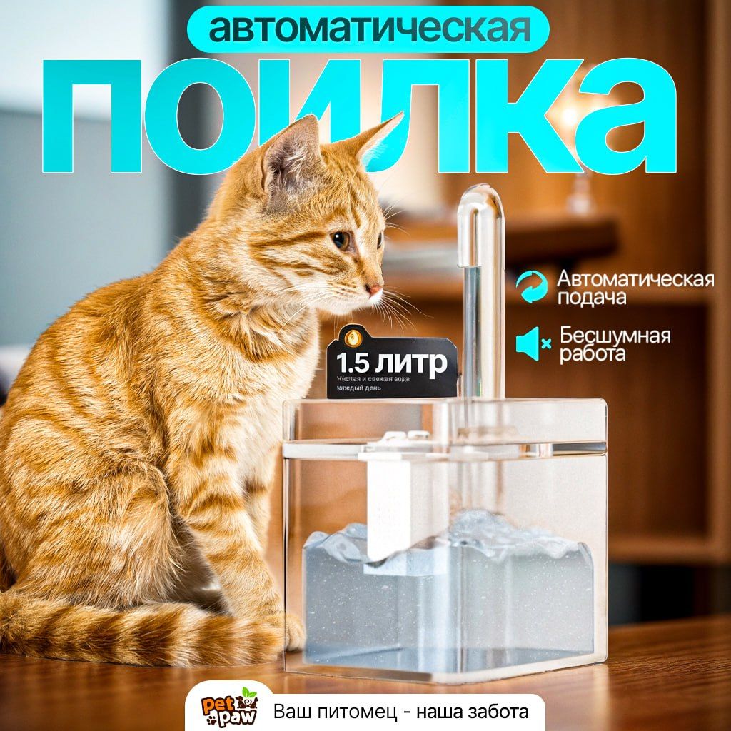 Автопоилка для кошек фонтан PetPaw со сменным фильтром, насосом и системой  очистки воды - купить с доставкой по выгодным ценам в интернет-магазине  OZON (1541988131)