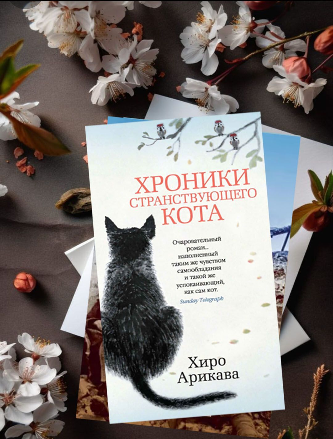 Хроники странствующего кота