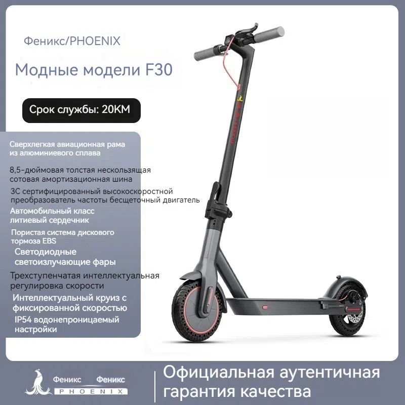 Phoenix Электросамокат SKU00822, черный