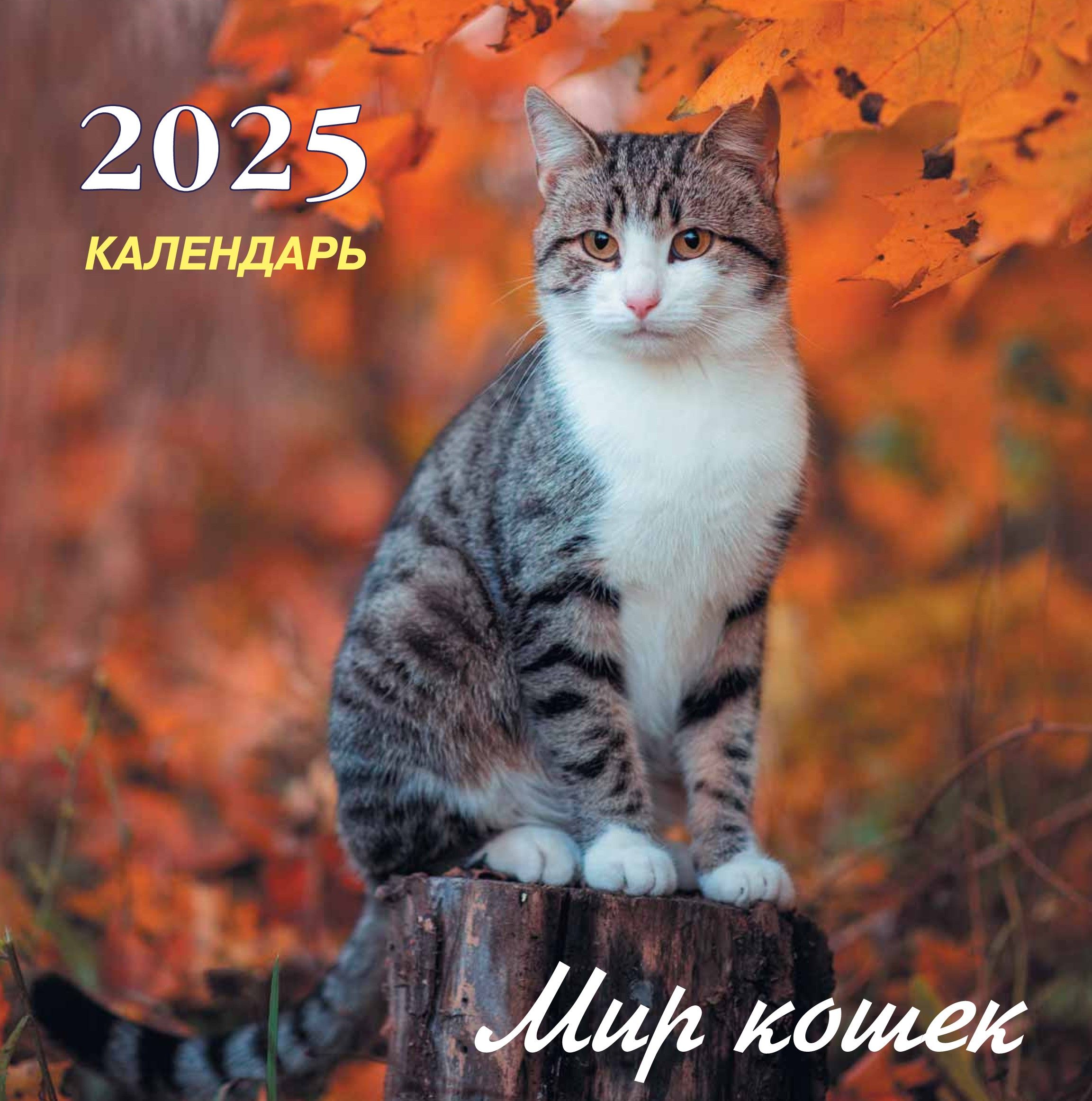 АКАДЕМИЯ КАЛЕНДАРЕЙ Календарь 2025 г., Настенный перекидной, 30 x 30 см