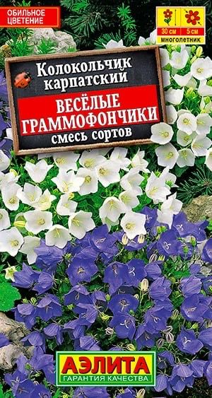 КОЛОКОЛЬЧИКИВЕСЕЛЫЕГРАММОФОНЧИКИ.Семена.Вес0,1гр.Очаровательный,неприхотливыйэкспресс-многолетник,пользующийсябольшойпопулярностьюусадоводов.