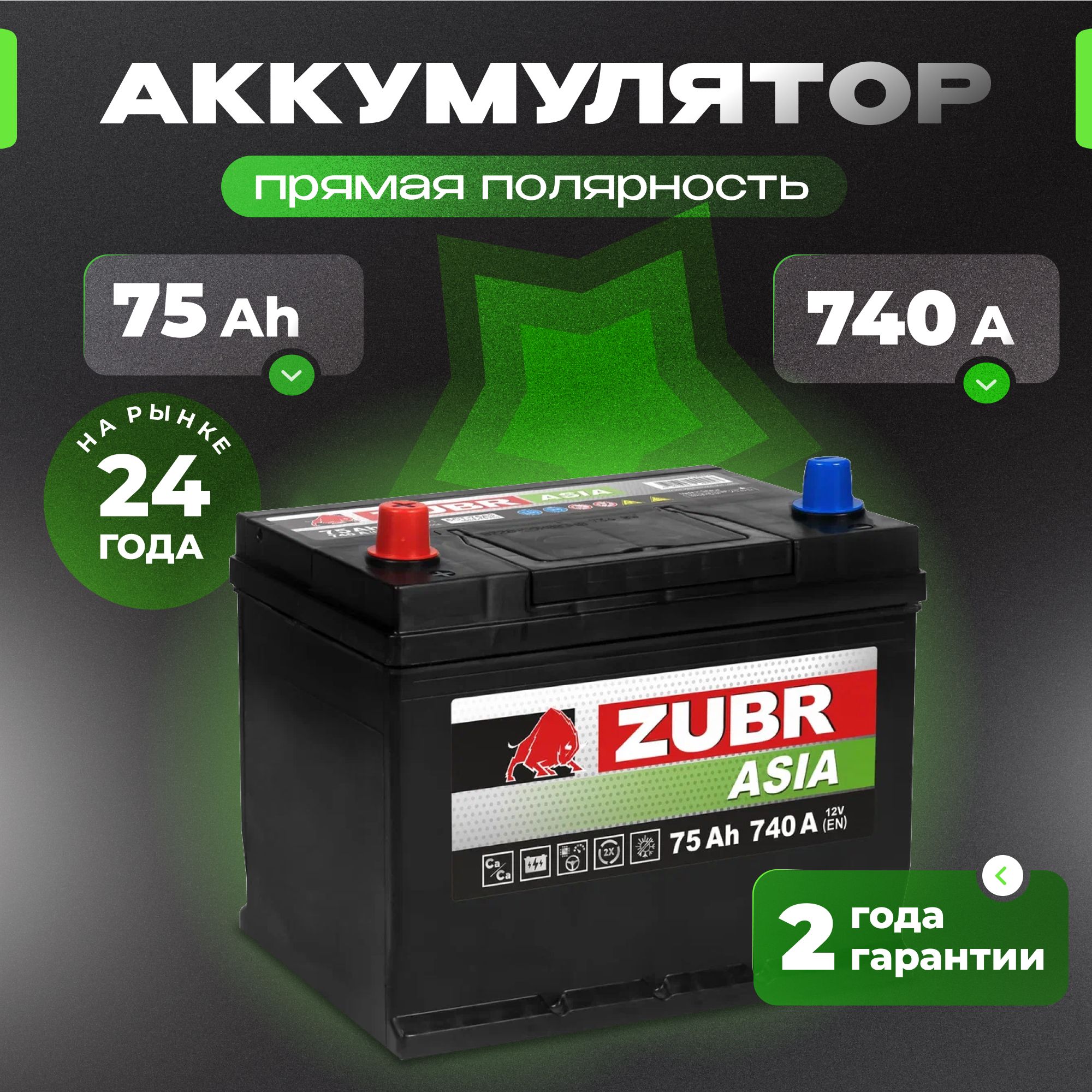 Аккумулятор автомобильный 12v 75 Ah ZUBR Premium Asia 75 Ач 740 А прямая полярность 261x175x225 стартерный акб для автомобиля, машины (нижний борт)