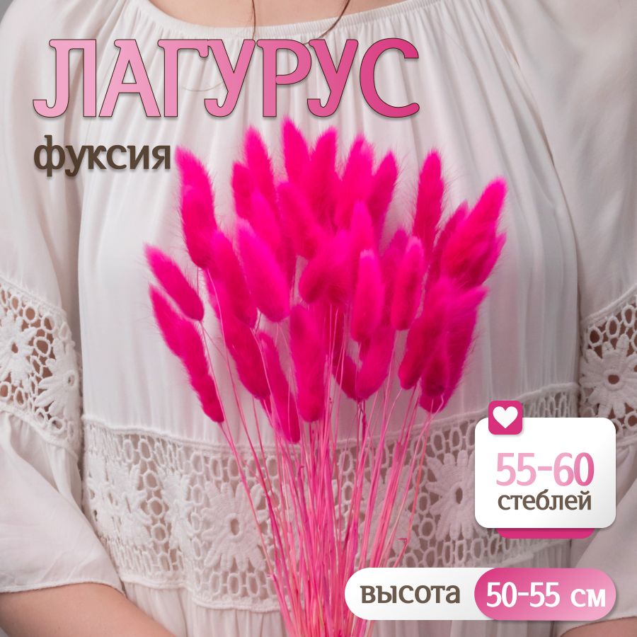 Лагурус фуксия Сухоцветы от Elka.bio