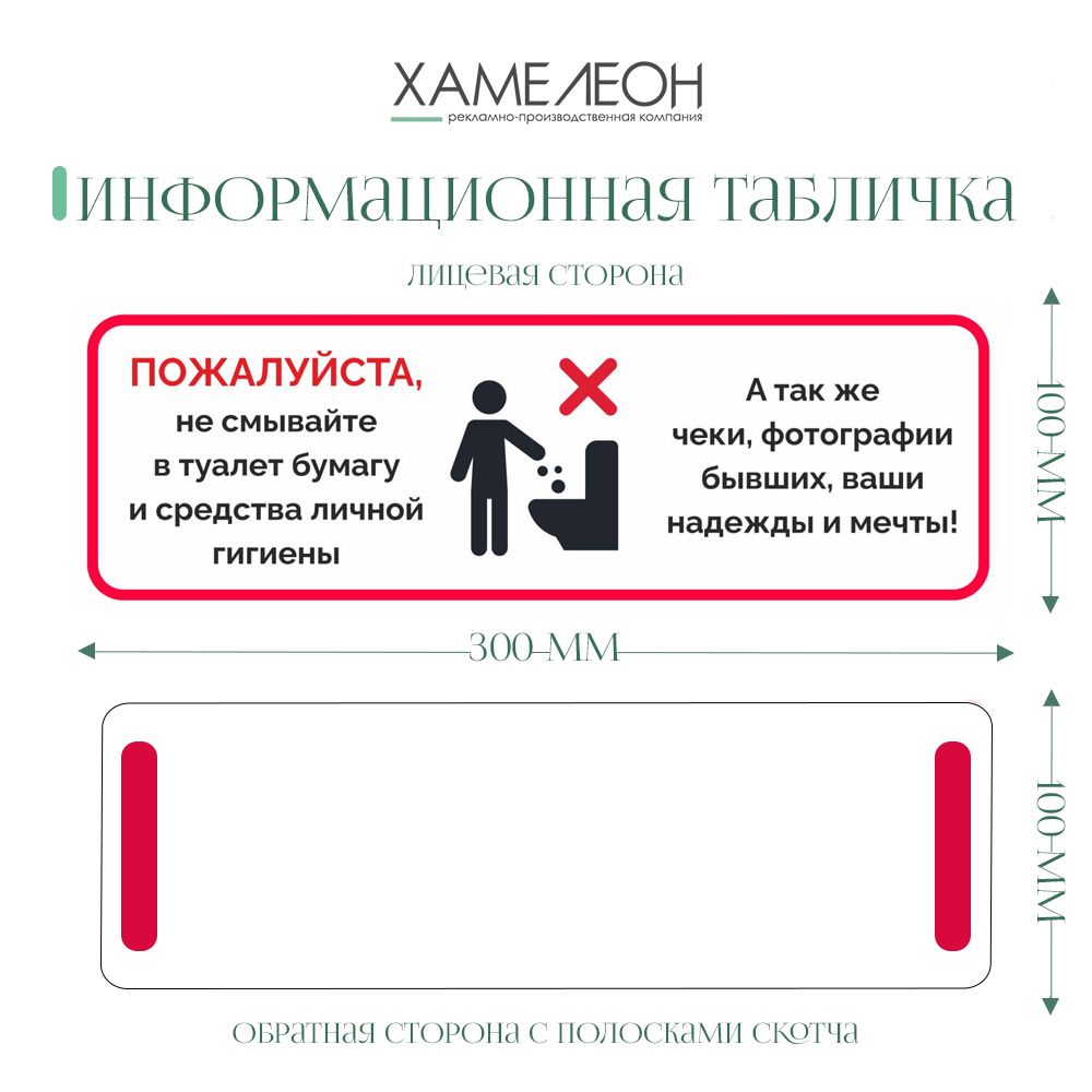 Информационнаятабличка"Пожалуйста,несмывайтевтуалет"300х100мм