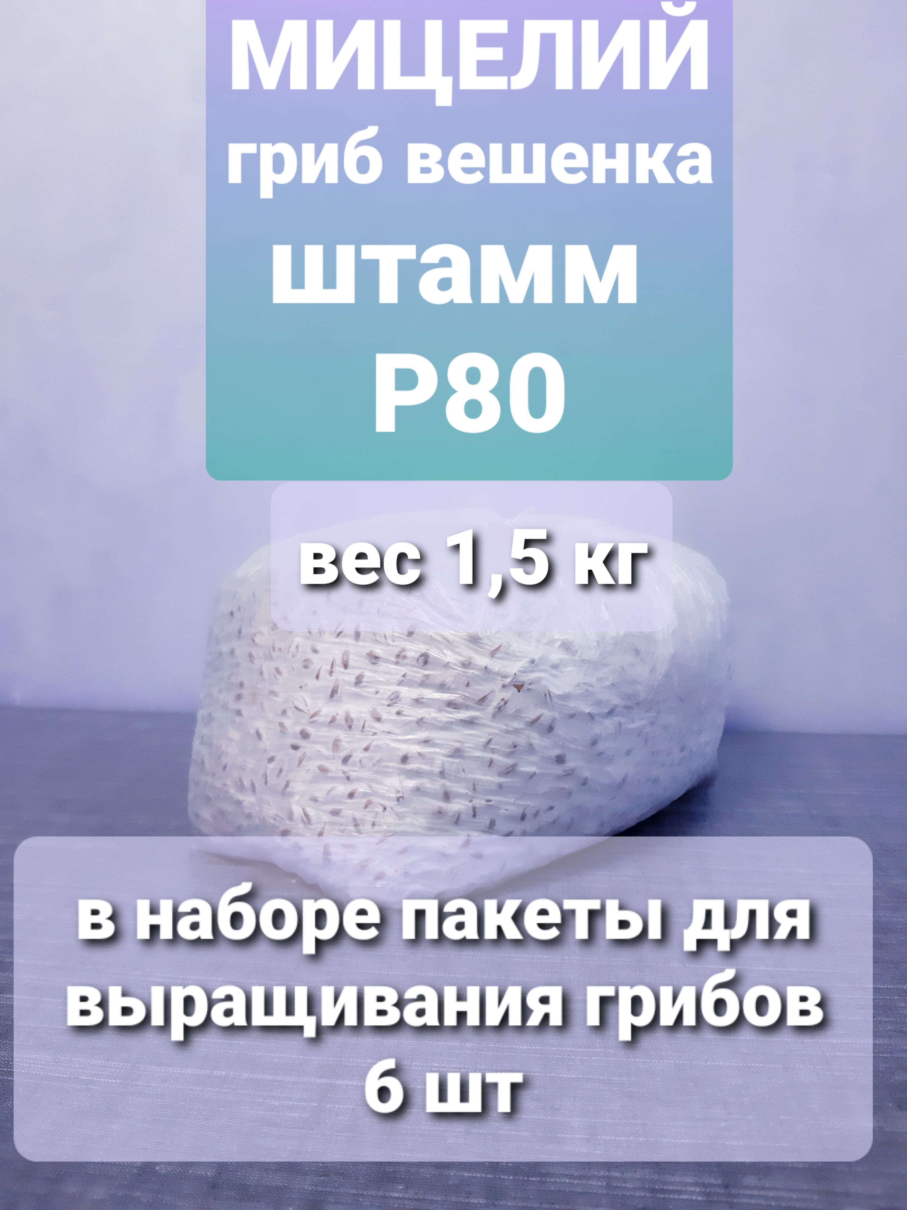 Мицелий зерновой гриб ВЕШЕНКА, штамм Р80, 1,5 кг. Пакеты для выращивания грибов в комплекте