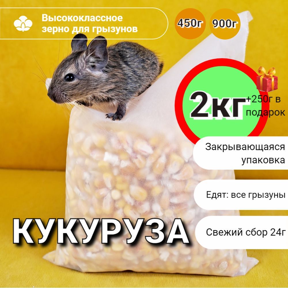 Кукуруза корм для хомяков и других грызунов