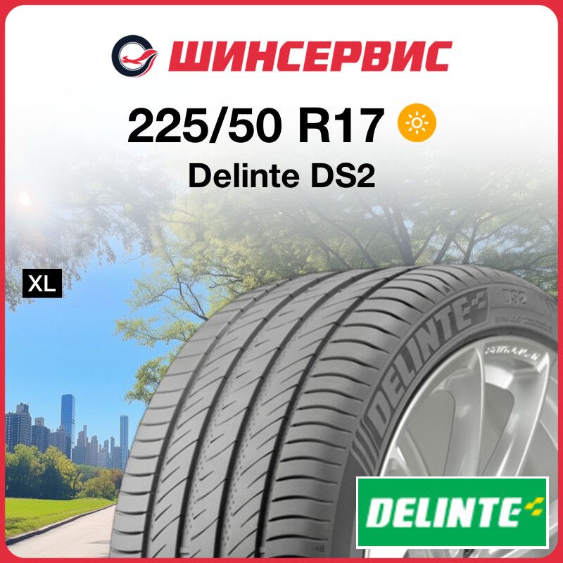 DelinteDS2Шинылетние225/50R1798W