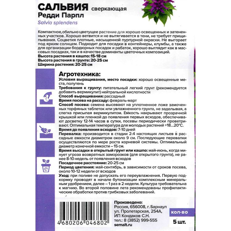 Сальвия Редди Парпл сверкающая(图2)