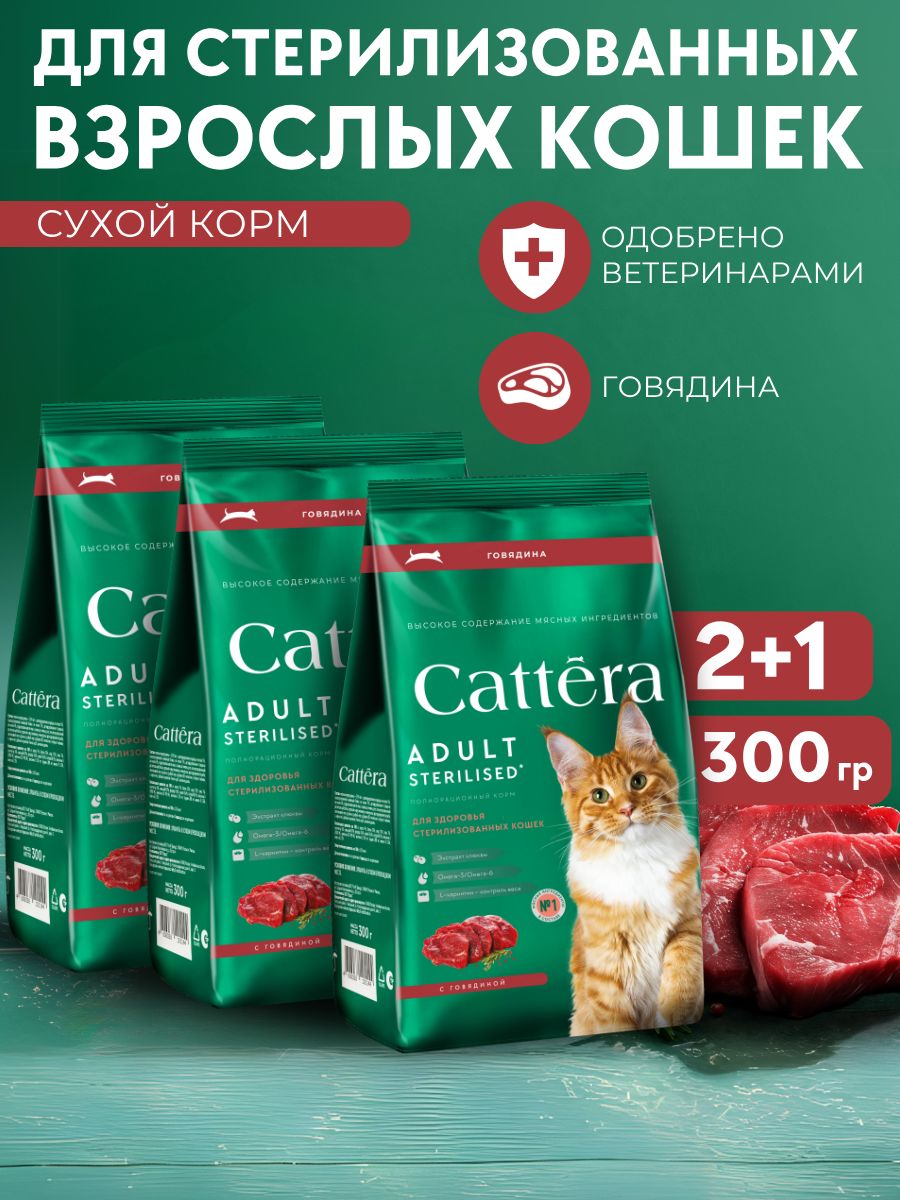 СухиекормадлякошекCATTERA