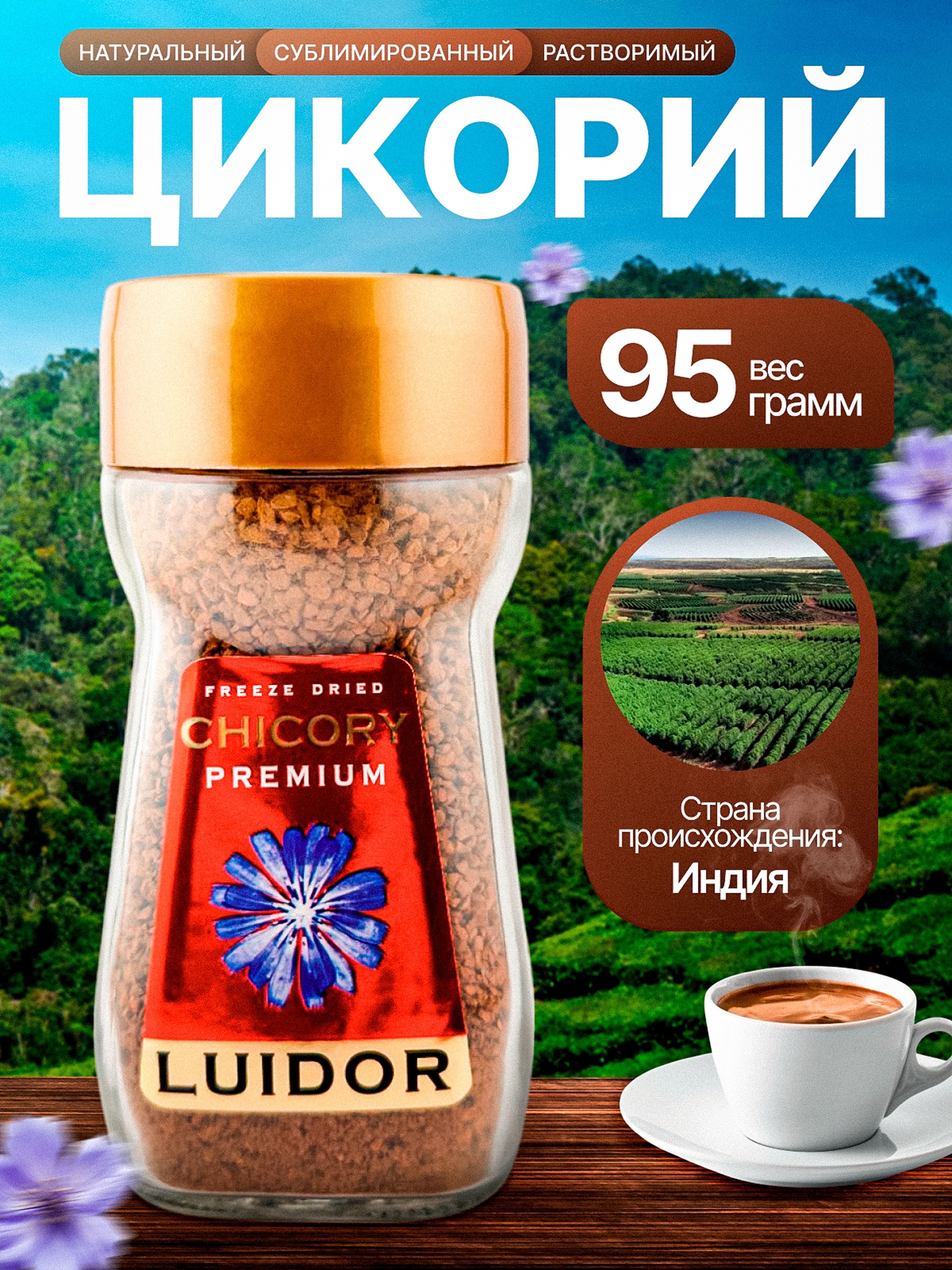ЦикорийнатуральныйрастворимыйсублимированныйLUIDOR95грамм
