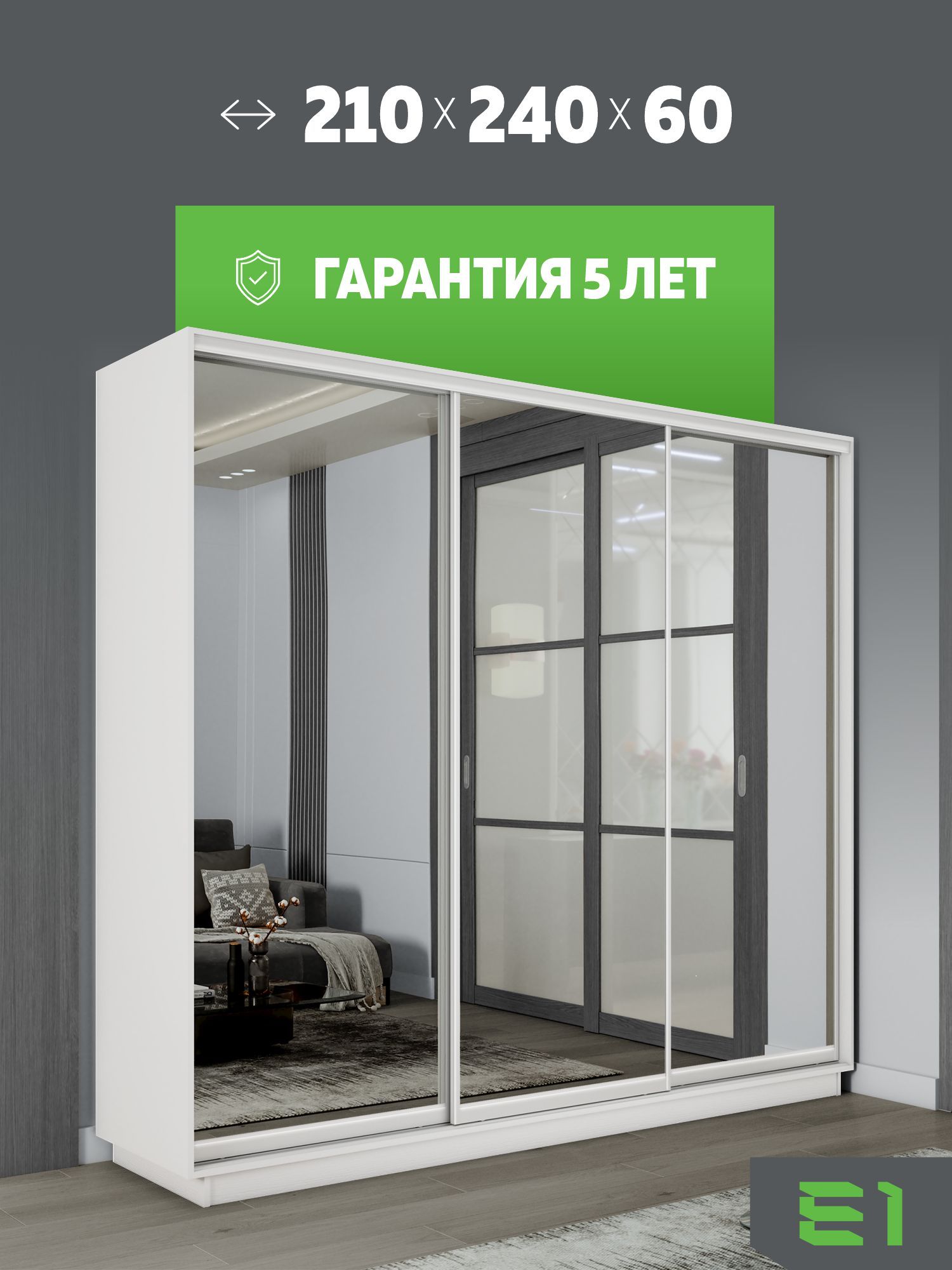 Шкаф-купе Экспенс, 210х60х240 EEKT_210240_B