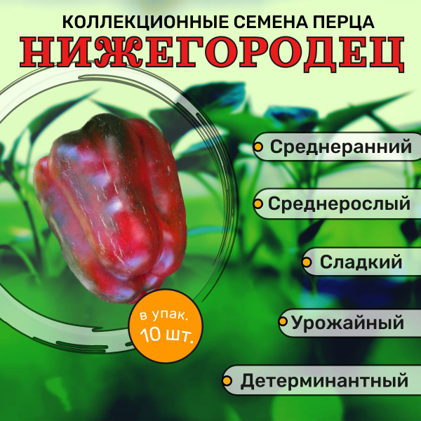 Перец нижегородец - Roleton.ru