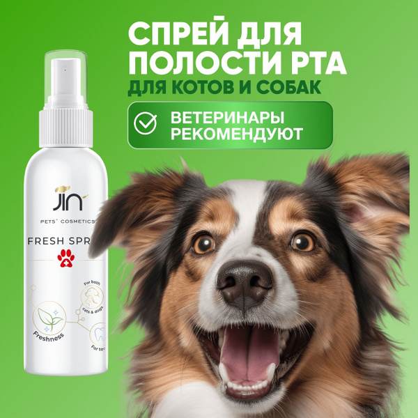 Спрей для полости рта собак JIN Fresh Spray,100мл - купить с доставкой ...