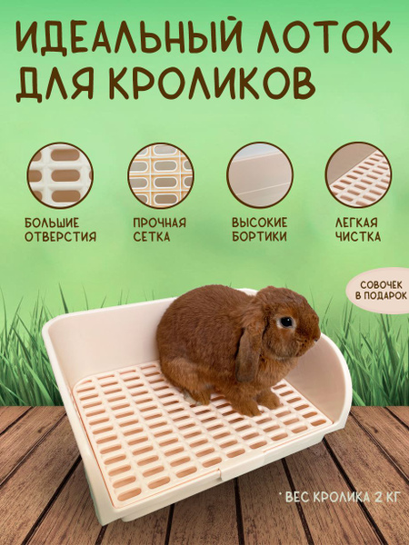 Лоток-туалет для кроликов со съемной решеткой - купить с доставкой по ...
