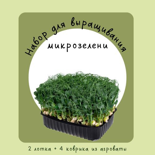 Набор для выращивания микрозелени - купить с доставкой по выгодным ...